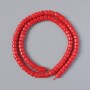 Natural Coral Beads, disc-shaped, 6x4 mm diameter, 41 cm on thread