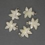 Mother-of-Pearl Leaf Pendant 27×18 mm - silver-tone metal
