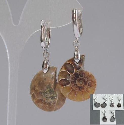 Earrings with natural ammonites, 24×17×6 mm, length ~50 mm, assorted sizes