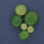 Accent Green Cat's Eye Brooch Pendant in Golden Metal 33x43mm+