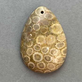 Fossilized Coral Pendant 35×23 mm