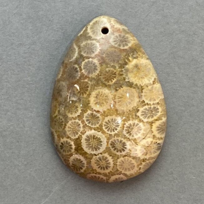 Fossilized Coral Pendant 35×23 mm