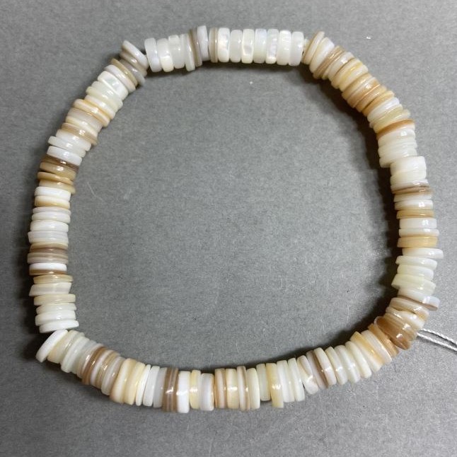 Scapharca shell bracelet, rondelle beads, 6×1.5 mm, 18 cm stretch
