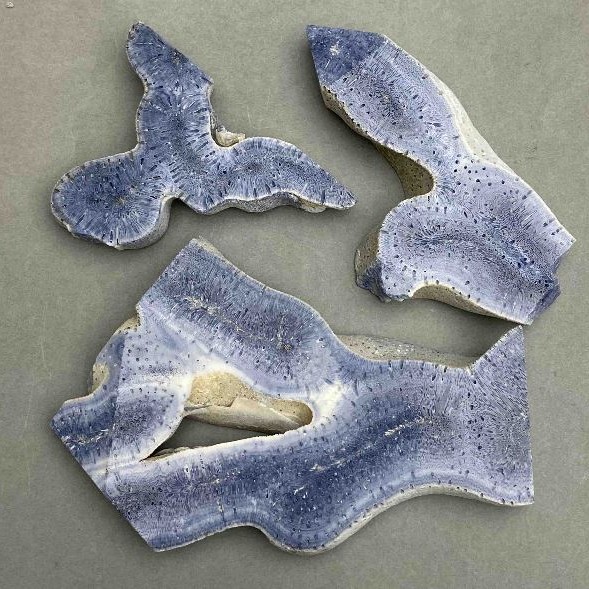Price per 100 g! Souvenir plate of natural Sponge Coral from 50×65×10 mm± to 110×70×10 mm±, size assortment