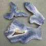 Price per 100 g! Souvenir plate of natural Sponge Coral from 50×65×10 mm± to 110×70×10 mm±, size assortment