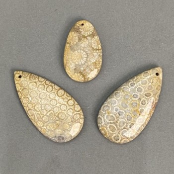 Pendant with Fossilized Coral 40–60 × 25–30 mm ± Assorted Sizes