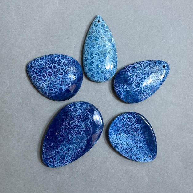 Petrified Coral Pendant 50-70×30-45 mm ± assorted sizes