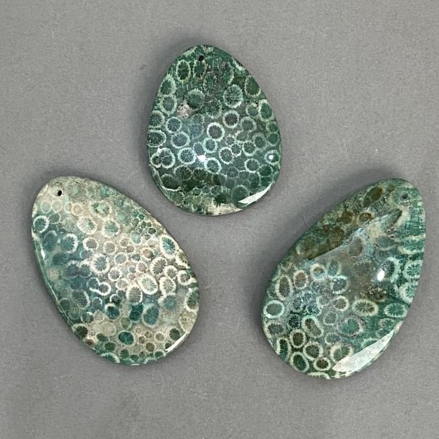 Pendant Fossilized Coral 50-65×40 mm ± Assorted Sizes
