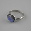 Haliotis Ring 12 mm ±, Silver-Tone Metal