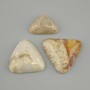 Fossilized Coral Cabochon 25-43×24-36 mm ± (assorted sizes)