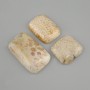 Fossilized Coral Cabochon 32-42×24-30 mm ± (Assorted sizes)
