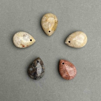 Fossil Coral Drop Pendant, diameter 20x14mm+