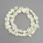 Mother-of-Pearl Beads, Tumbled, 9–12×8–13 mm diameter, 40 cm length, on thread
