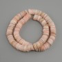 Shell Scarcarca? Rondel Nacimientos?