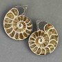 Ammonite souvenir stone, assorted diameter 36×42 mm ± (in a pack: pair), weight 45 g