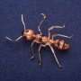 Sale! Ant Brooch with Enamel, Gold-Tone Metal 42×57mm