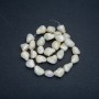 Mother-of-pearl beads on a string, tumbled shape, diameter 16-19x12-14mm, length 38cm +