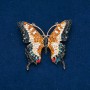 Sale! Butterfly Brooch with Multicolored Rhinestones, Gold-tone Metal 50×55 mm +
