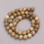 Beads on Thread, Landscape Jasper, Smooth Round Bead, 10mm Diameter, 39cm Length