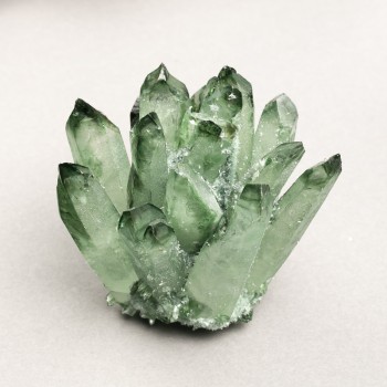 Druzy souvenir 'Irish Moss' weight from 450 g (per 100 g)