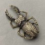 Brooch May Beetle with Rhinestones in Golden Metal 28x57mm
